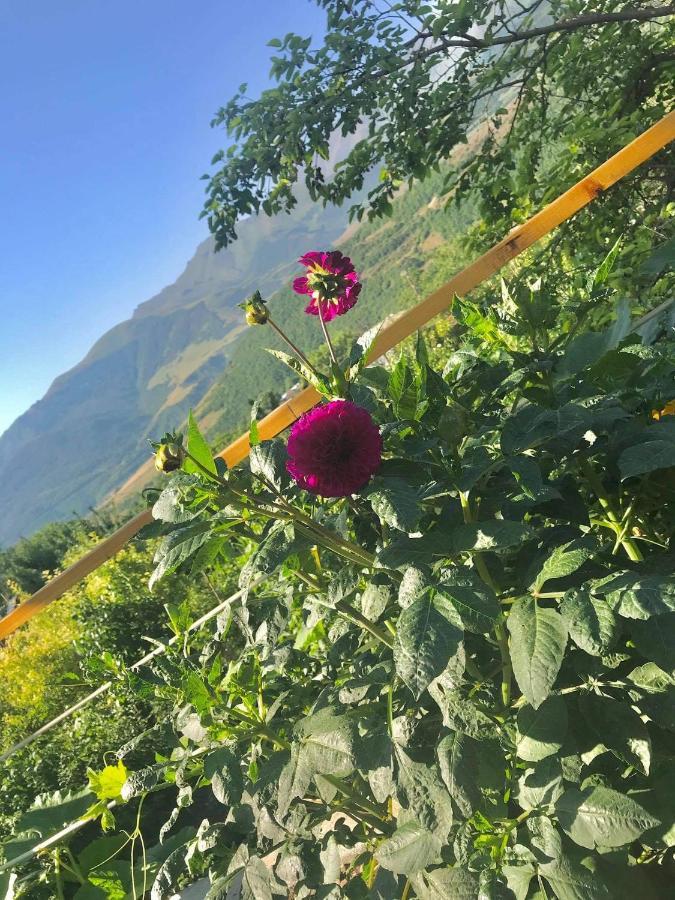 Ana-Maria Bnb Bed & Breakfast Tat'ev Exterior photo