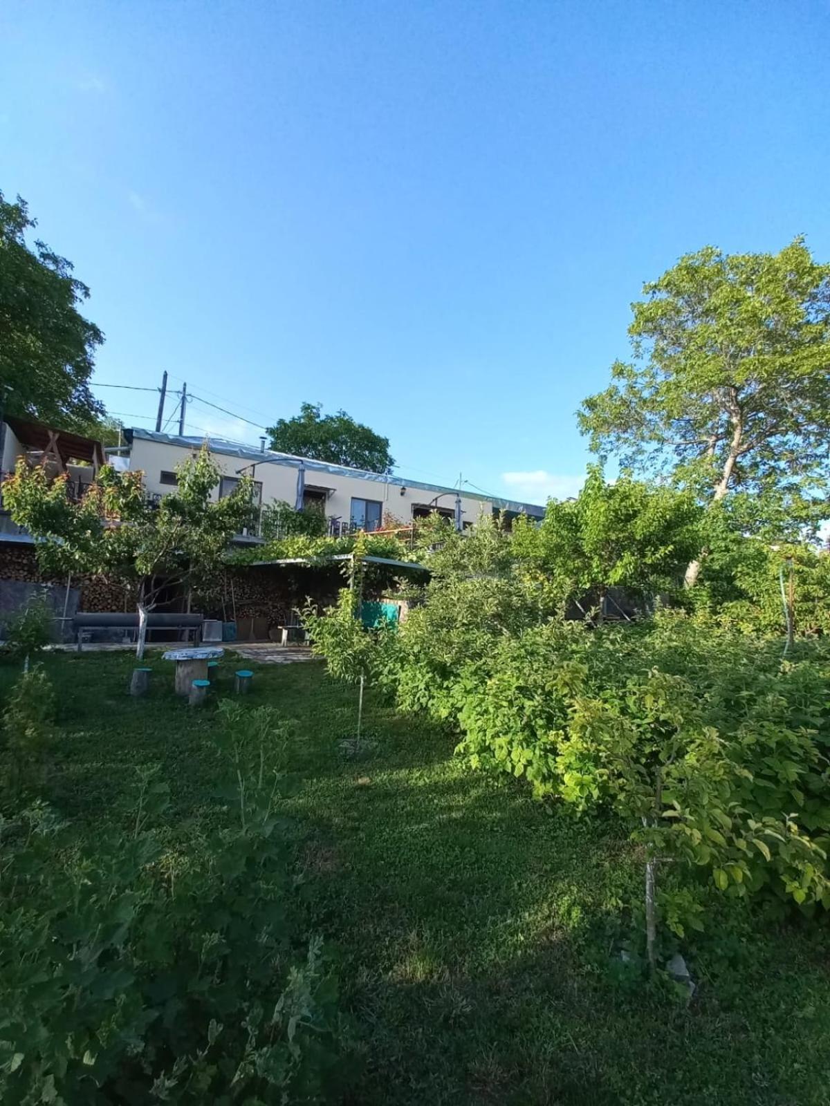 Ana-Maria Bnb Bed & Breakfast Tat'ev Exterior photo