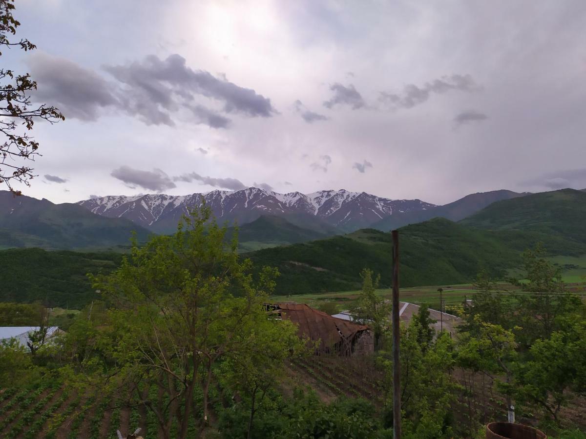 Ana-Maria Bnb Bed & Breakfast Tat'ev Exterior photo